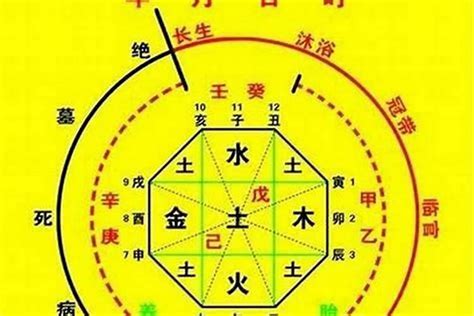 年命|生辰八字算命、五行喜用神查询（免费测算）